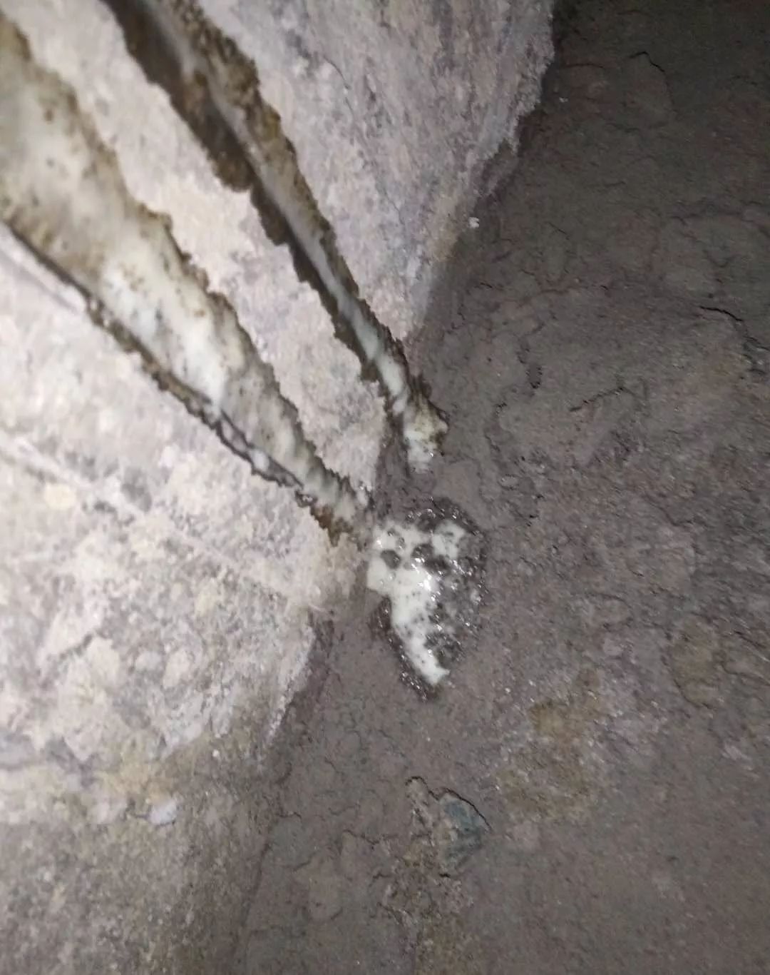 1_190821092448_1 CHINA·tyc522cc太阳成集团|品牌官网