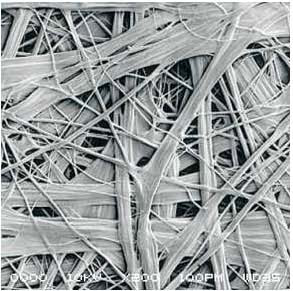 CHINA·tyc522cc太阳成集团|品牌官网