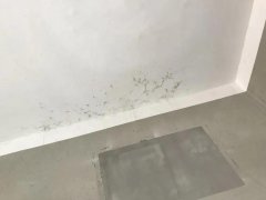 CHINA·tyc522cc太阳成集团|品牌官网